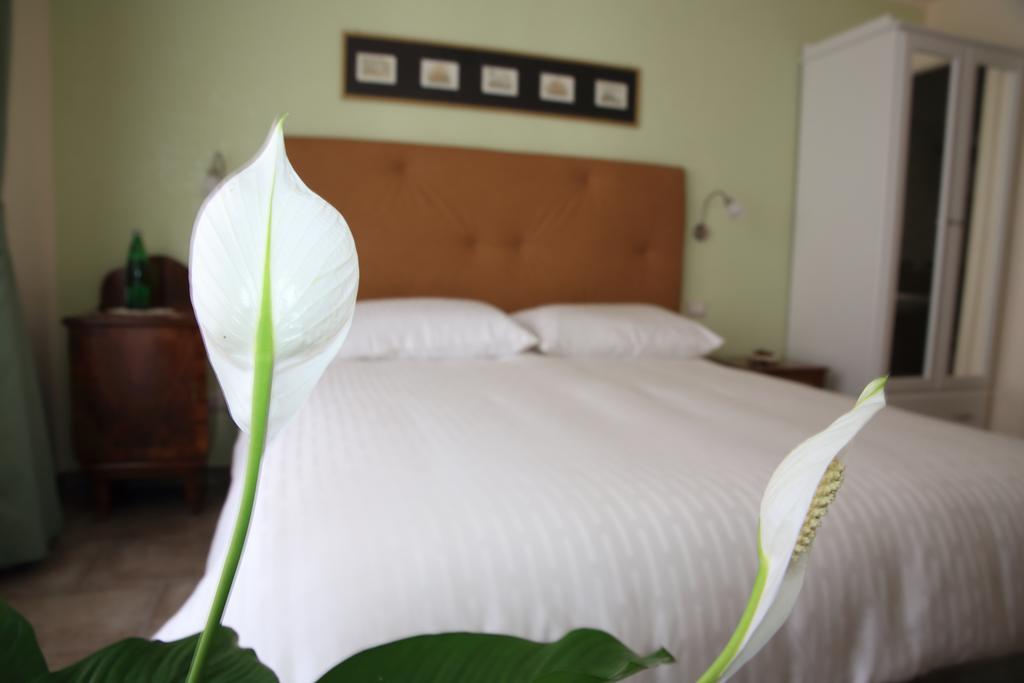 Anice Guesthouse Roma Dış mekan fotoğraf